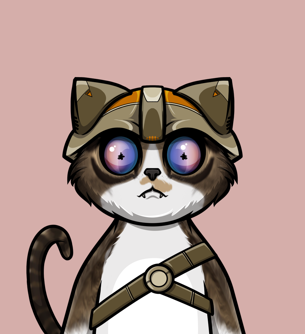 cat 111