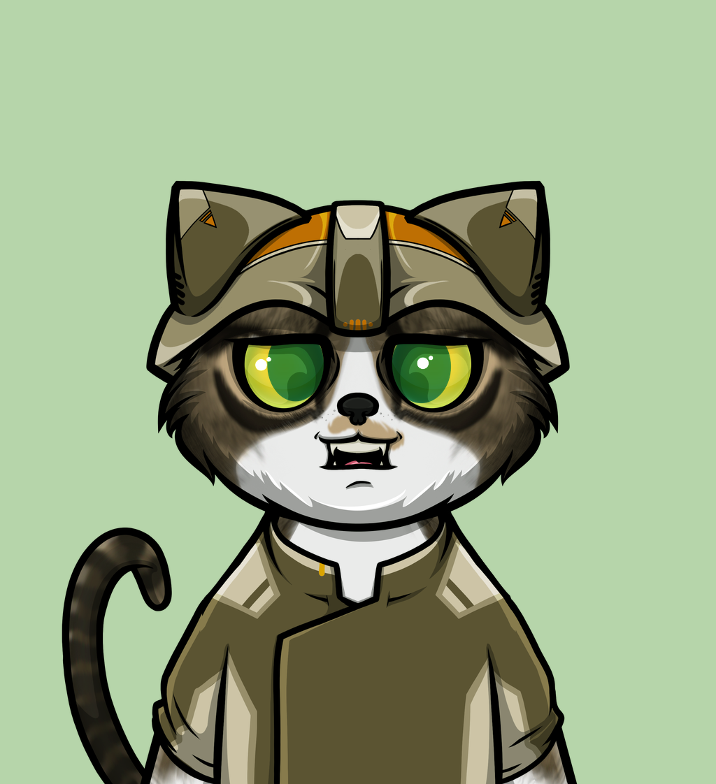 cat 172