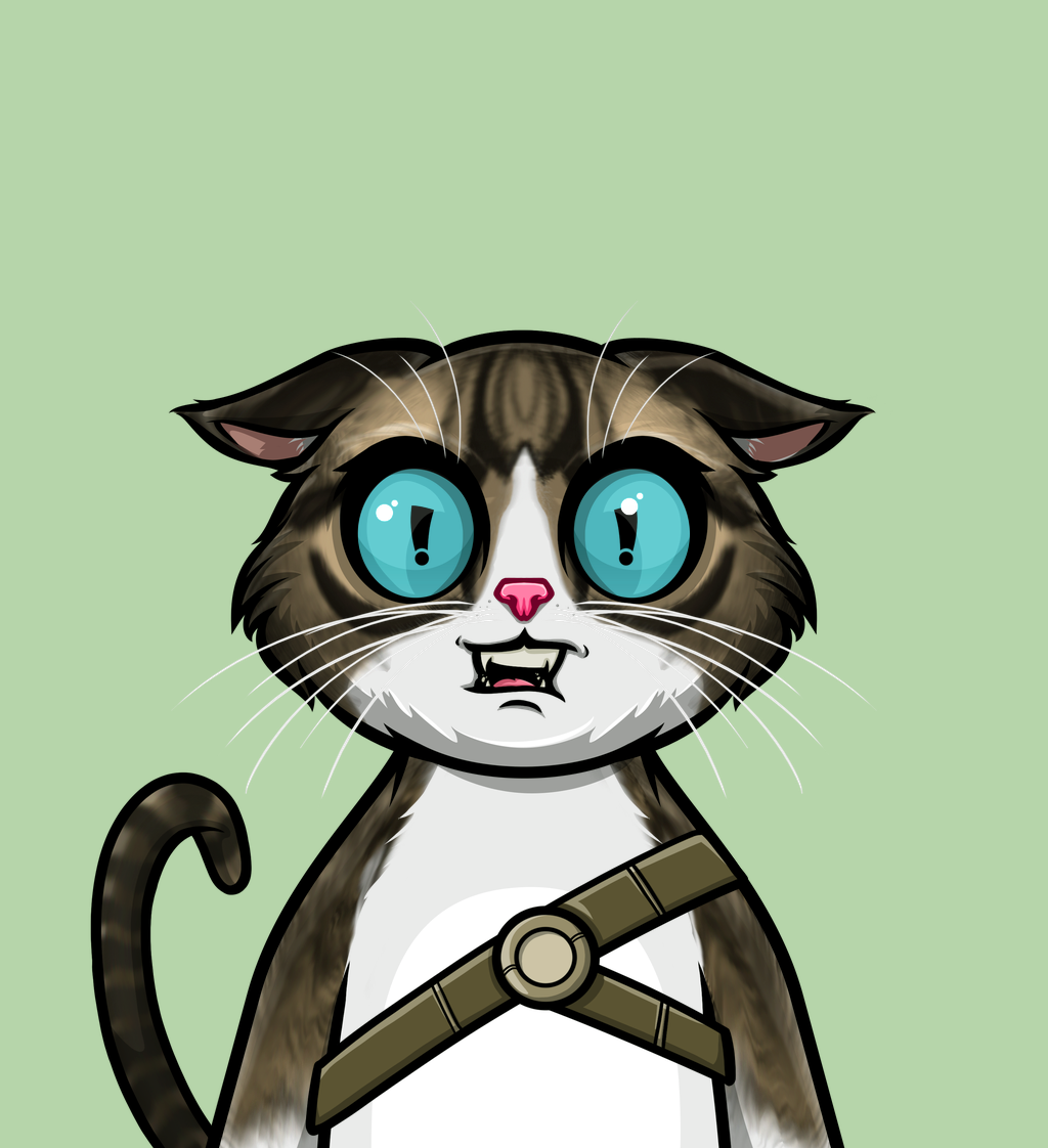 cat 247
