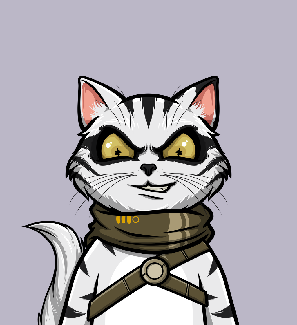 cat 3