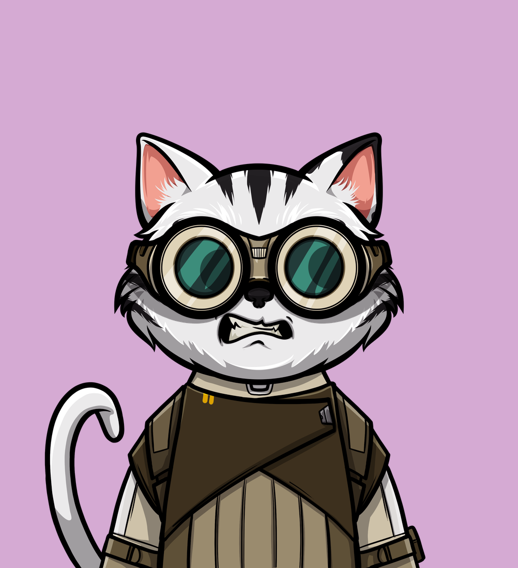 cat 348