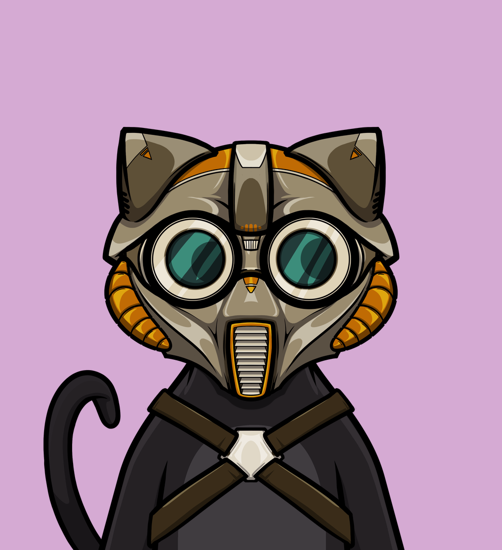 cat 41