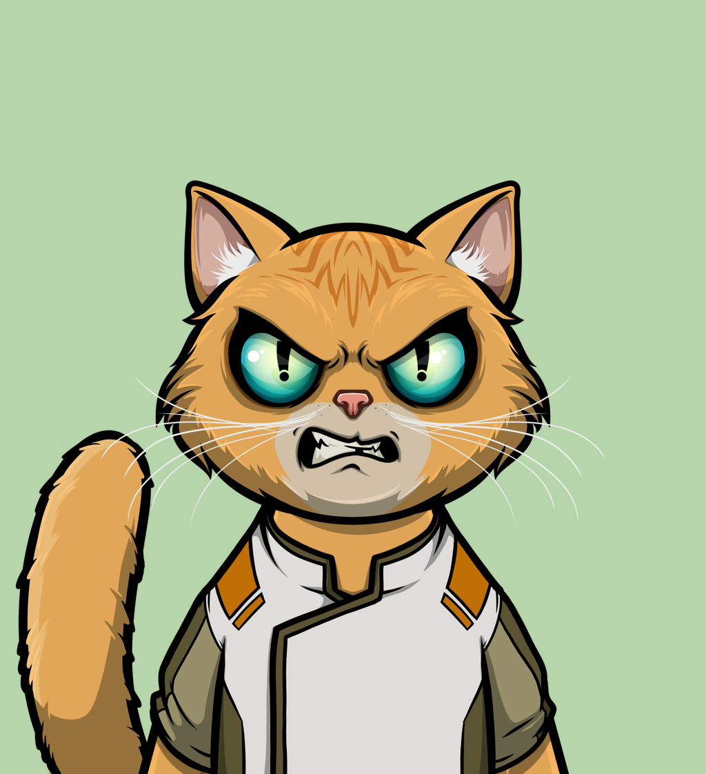 cat 437