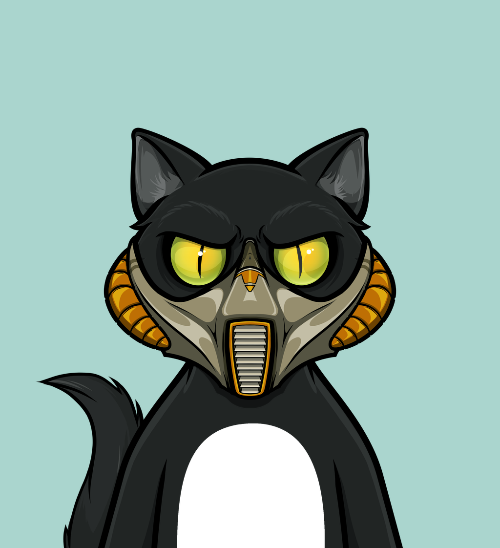 cat 54