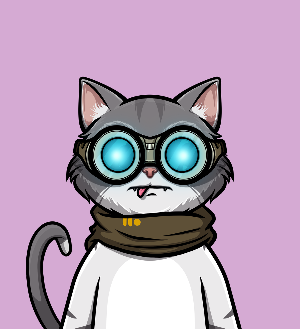 cat 58
