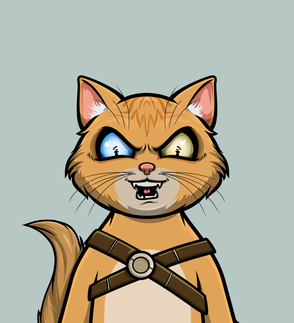 cat 92